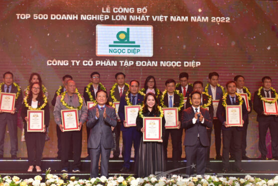 Tập đoàn Ngọc Diệp và Công ty Cổ phần Nhôm Ngọc Diệp tiếp tục góp mặt trong TOP500 Doanh nghiệp lớn nhất Việt Nam